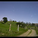 Jose Miera Photo 11