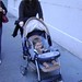 Laurie Reese Photo 23