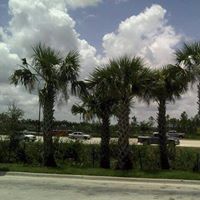 Lisa Nemitz Photo 4