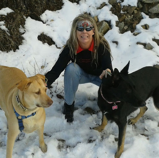Debbie Ross Photo 1