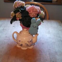 Colleen Day Photo 1