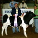 Justin Yoder Photo 17