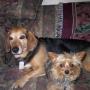 Mary Carney Photo 25