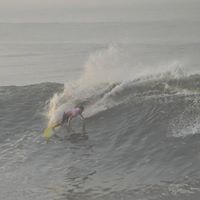 Harry Werner Photo 12