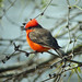 Justin Mcmullen Photo 15