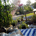 Carol Robeson Photo 8