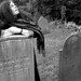 Mary Noone Photo 16