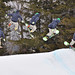 Greg Stratton Photo 20