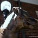 Barbara Dunn Photo 17