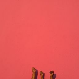 Joy Johnson Photo 28