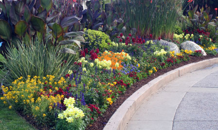 Ann Lloyd Photo 9
