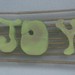 Joy Weber Photo 21