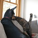 Beverly Sanders Photo 14