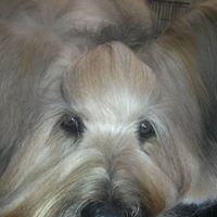 Maureen Lee Photo 26