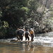 Stacy Shelton Photo 15