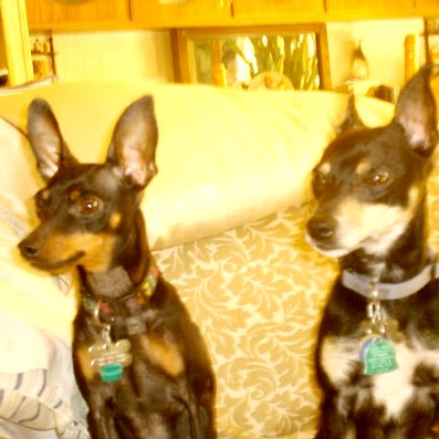 Sharon Lehman Photo 33