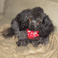 Janet Shytle Photo 1