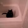 Janet Hendricks Photo 20