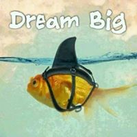 Sandra Ribeiro Photo 5