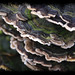 Tracey Stump Photo 14