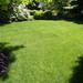 Cindy Platt Photo 29