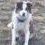 Janice Schaefer Photo 25