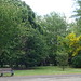 Victoria Bunch Photo 18