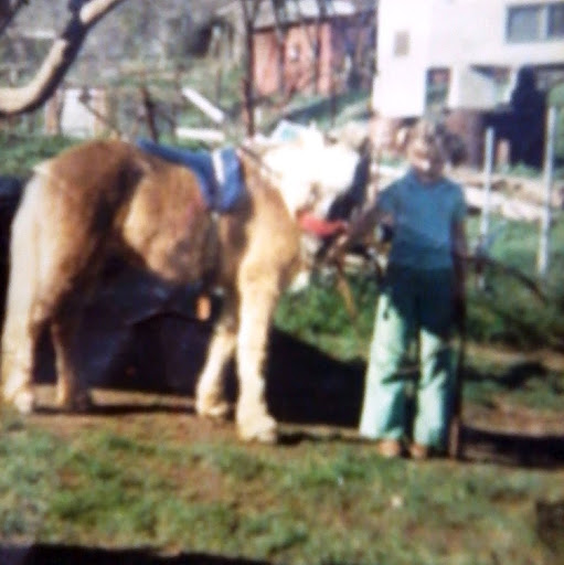Cindy Stilson Photo 1