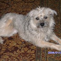 Nancy Inman Photo 24
