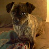 Isabella Simmons Photo 18