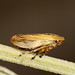 Jon Hopper Photo 19