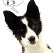 Valerie Hobbs Photo 12