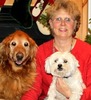 Dianne Cook Photo 12