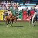 David Pendleton Photo 17