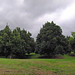 Karen Gremp Photo 6