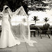 Adriana Miller Photo 33