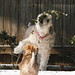 Kelly Murphy Photo 39
