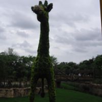 Jonathan Arias Photo 25