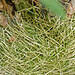 Barbara Root Photo 13
