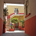 Rolando Chavez Photo 34