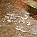 Maggie Rush Photo 10