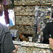 Patrick Button Photo 10