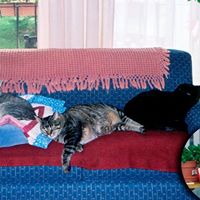 Mary Webber Photo 35
