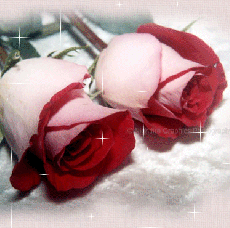 Shirley Welch Photo 32