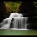 Forrest Mize Photo 5