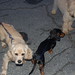 Darwin Friend Photo 8