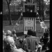 Judy Gilbert Photo 23