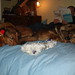 Walter Carter Photo 34
