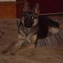 Keith Petersen Photo 16