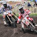 David Metz Photo 22